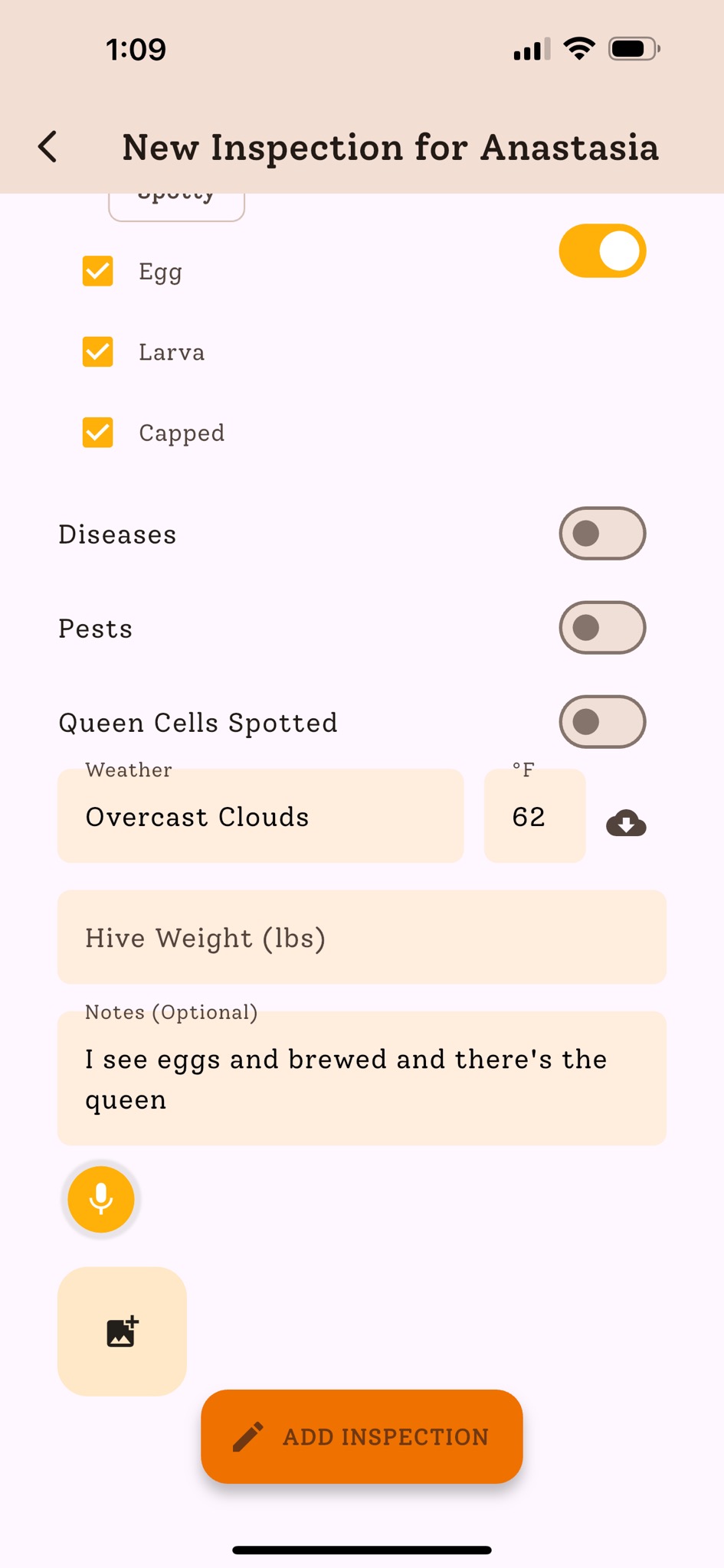 Recording an inspection in HiveBloom