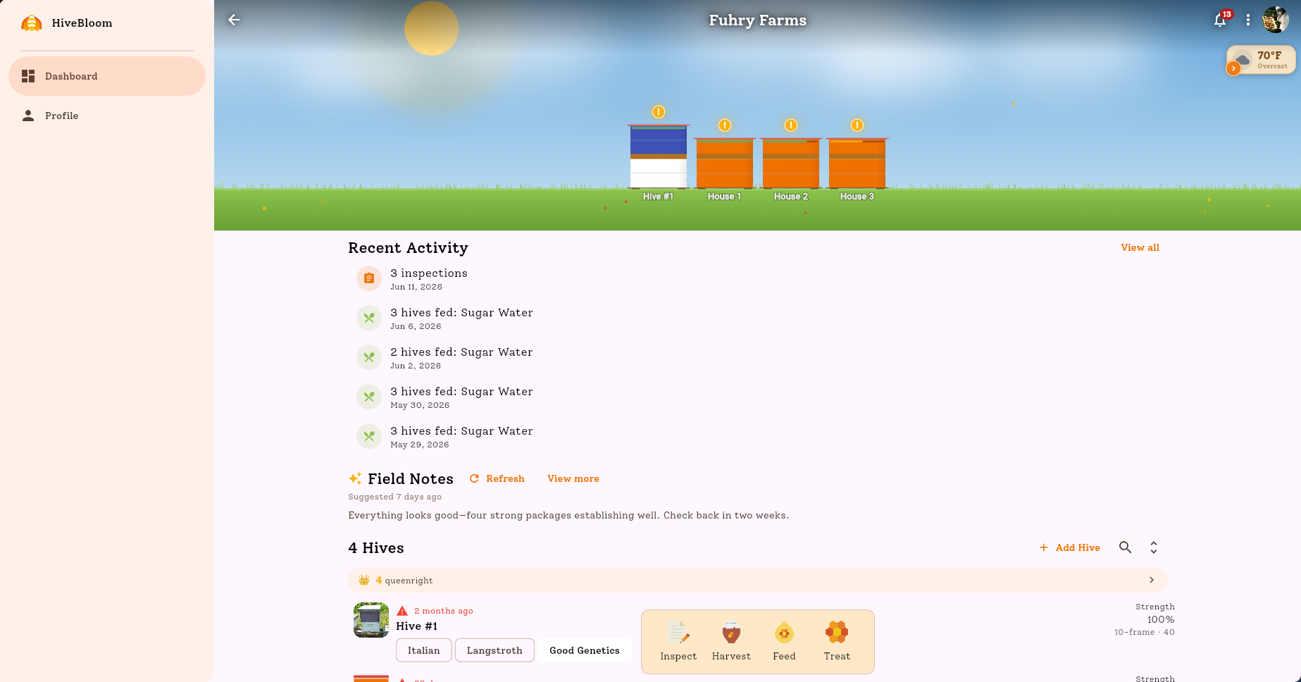 The HiveBloom web app open in a browser, showing an apiary dashboard with the hive layout, recent activity, and hive list