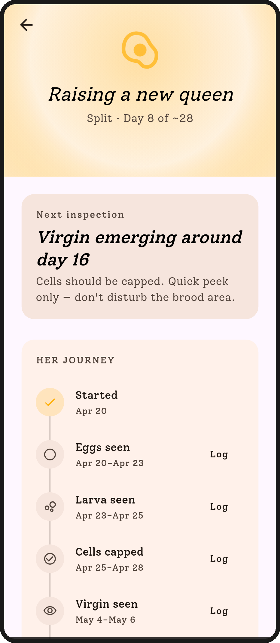 Queen raising journey